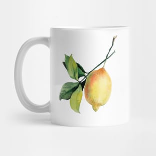 Branch of lemons with leaves Mug